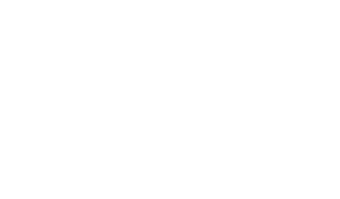 Eight Strings & A Whistle logo